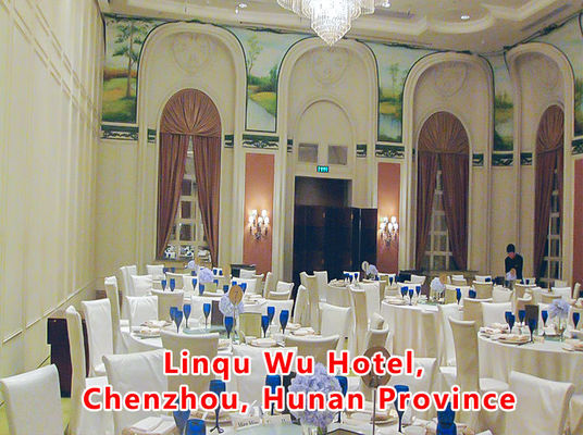 قیمت خوب Aluminum Wooden Movable Partition Wall with 304 Stainless Steel Rollers and 6061-T6 Profile for Office Room آنلاین